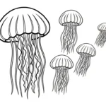 coloriage Méduse gratuit en ligne