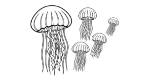 coloriage Méduse gratuit en ligne