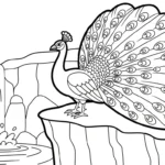 coloriage Paon et dessin a imprimer