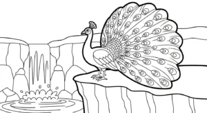 coloriage Paon et dessin a imprimer