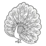 coloriage Paon pour enfant de 2 ans