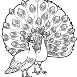 coloriage Paon pour enfant de 2 ans