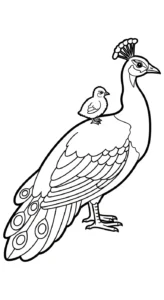 coloriage Paon a imprimer gratuit