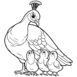 coloriage Paon à imprimer pour enfant de 8 ans