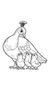 coloriage Paon à imprimer pour enfant de 8 ans