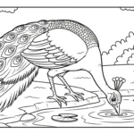 coloriage Paon et dessin a imprimer