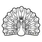 coloriage Paon pour enfant de à imprimer