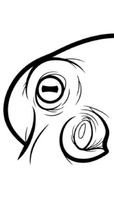 coloriage Pieuvre pour enfant