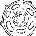 coloriage Science pour enfant de 7 ans