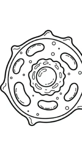 coloriage Science pour enfant de 7 ans