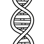 coloriage Science à imprimer pdf gratuit