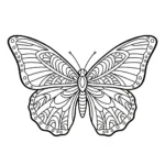 coloriage Science et decoupage