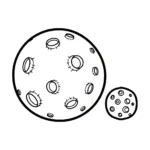 coloriage Système Solaire a dessiner en ligne