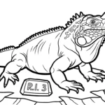 coloriage Iguane à imprimer gratuitement pdf