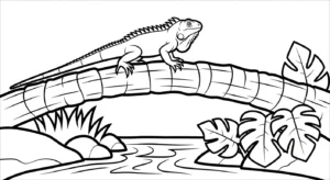 coloriage Iguane gratuit pour enfants