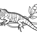 coloriage Iguane à imprimer pour enfants