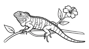 coloriage Iguane à imprimer pour enfants