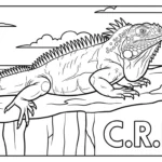 coloriage Iguane pour enfants