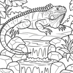 coloriage Iguane d