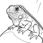 coloriage Iguane à imprimer pour enfants