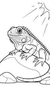 coloriage Iguane à imprimer pour enfants
