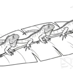 coloriage Iguane a telecharger