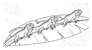 coloriage Iguane a telecharger