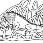 coloriage Iguane et découpage à imprimer