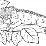 coloriage Iguane a imprimer pour enfant de 4 ans