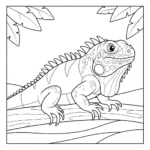 Iguane