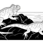 coloriage Iguane pour enfants a imprimer