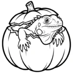coloriage Iguane à imprimer pour enfant de 8 ans