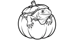 coloriage Iguane à imprimer pour enfant de 8 ans