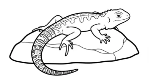 coloriage Jardin et dessin a imprimer