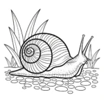 coloriage Jardin a dessiner en ligne