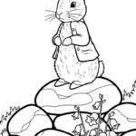 coloriage Peter Rabbit pour enfant gratuit
