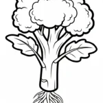 coloriage Brocoli à imprimer pour enfant de 4 ans