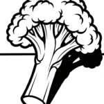 coloriage Brocoli a dessiner et imprimer