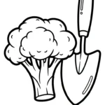 coloriage Brocoli en ligne pour enfant
