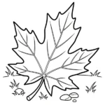 Feuille d&rsquo;Érable
