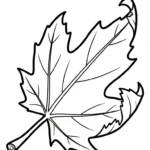 imprimer coloriage Feuille d’Érable pour enfant