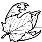 coloriage Feuille d’Érable a dessiner en ligne