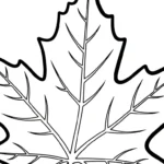 coloriage Feuille d’Érable pour enfant de 2 ans