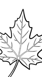 coloriage Feuille d’Érable pour enfant de 2 ans