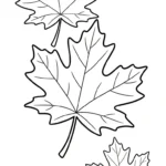 coloriage Feuille d’Érable à imprimer pour enfants
