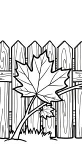coloriage Feuille d’Érable pour enfant de 4 ans