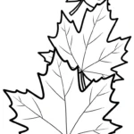 coloriage Feuille d’Érable et decoupage a imprimer gratuit