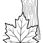 coloriage Feuille d’Érable a colorier en ligne