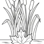 coloriage Feuille d’Érable pour enfant de 2 ans
