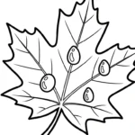 coloriage Feuille d’Érable pour enfants a imprimer